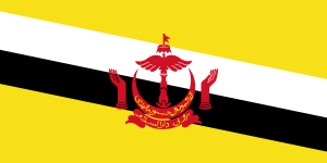 Brunei Brunei flag