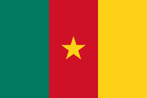 Cameroon Cameroonian flag